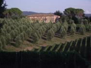 Bolgheri - vinařská oblast , typické Toskánsko asi 12 km od Marina di Bibbona