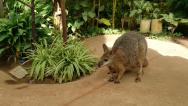 Butterfly Park Benalmadena